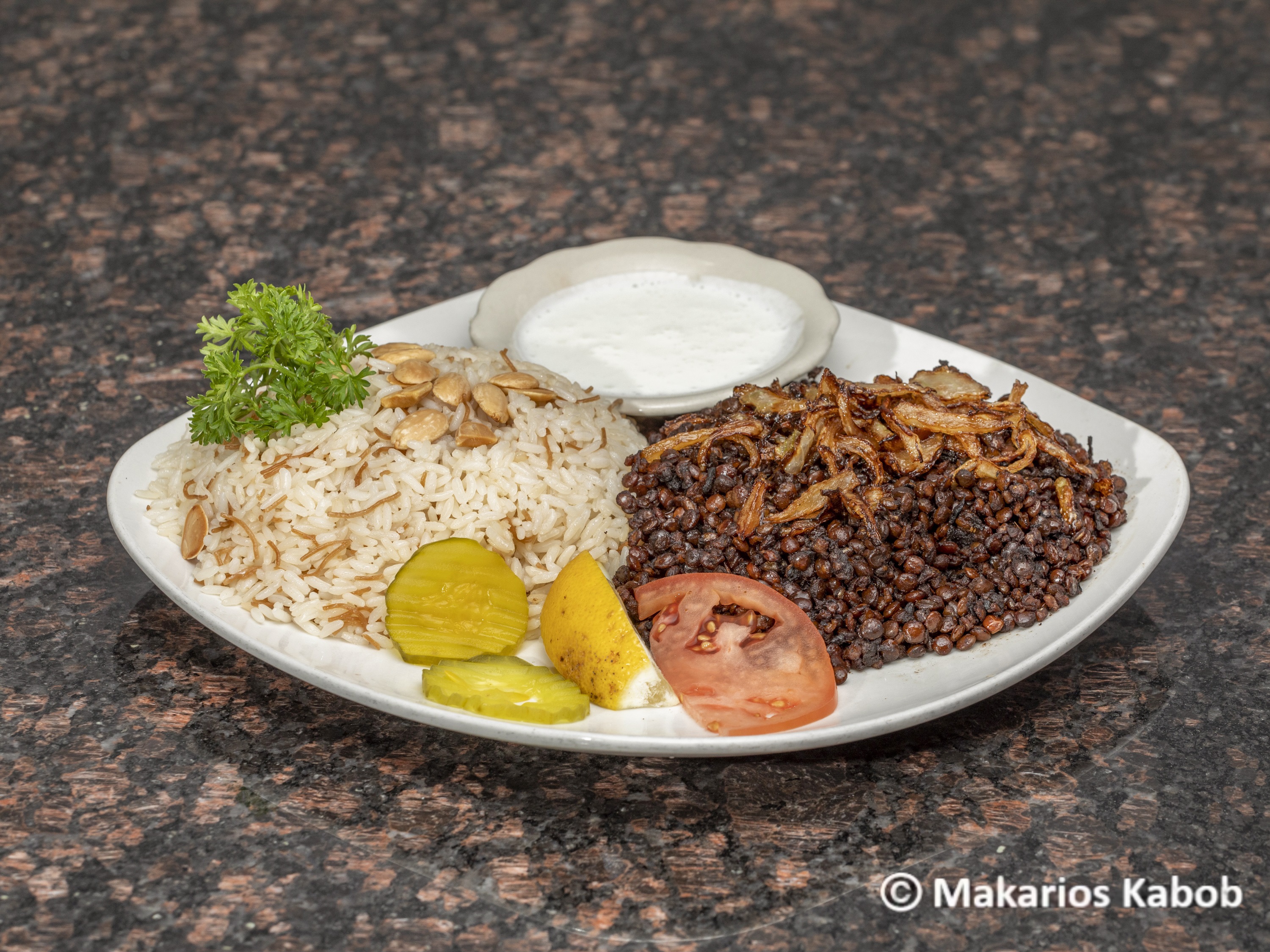 Mojadara Plate Dinner